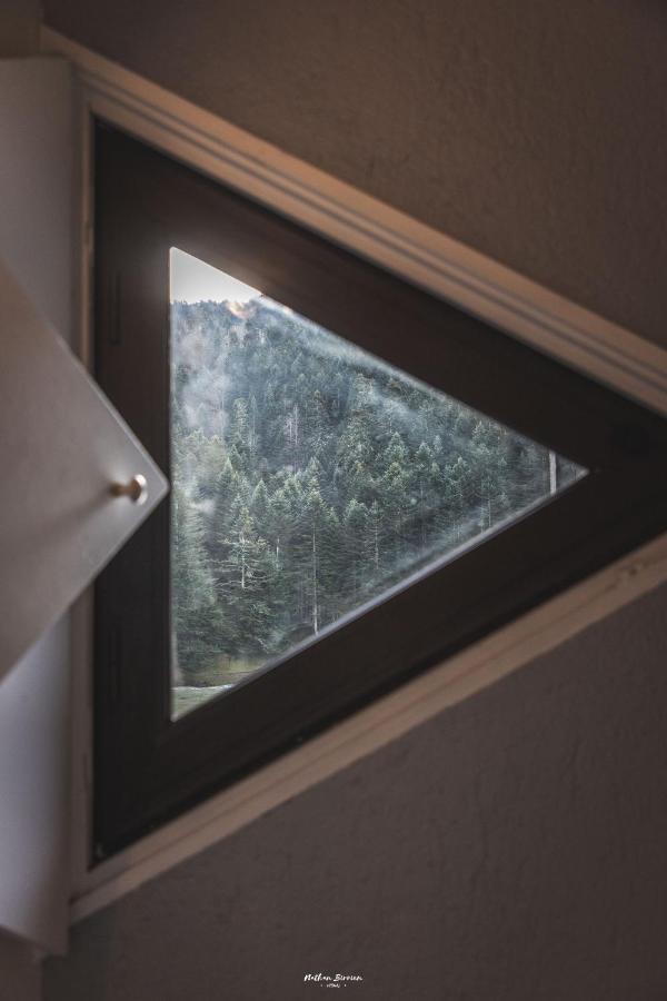 Le Petit Arbizon Apartment